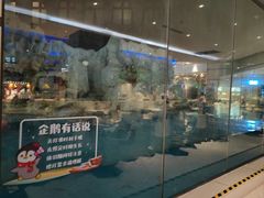 -帝企鹅自助餐厅•儿童岛•真企鹅(长隆企鹅酒店)