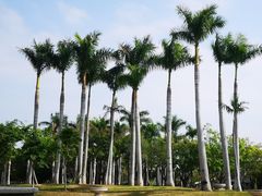 -厦门园林博览苑