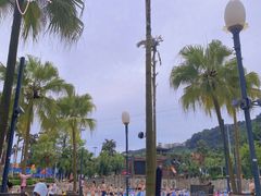 -重庆海昌加勒比海水世界