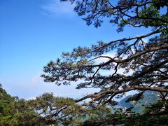 -罗田天堂寨风景区