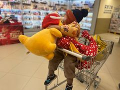 -盒马X会员店(王府井奥莱UP TOWN店)