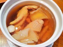花胶炖螺头汤-新荣记(建国门外大街店)
