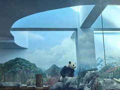 -武汉动物园