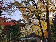 -青岛崂山太清宫