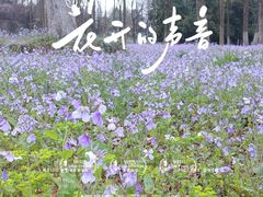 -钟山体育运动公园