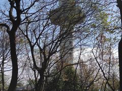 -岳麓山风景名胜区