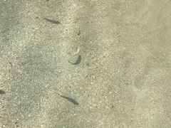 -中央格兰德岛温泉度假酒店 - 全包