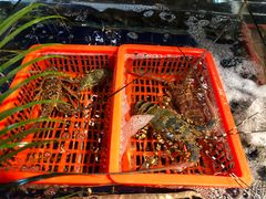 -79号渔船海鲜饭店(华强北店)