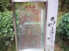 -西安曲江寒窑遗址公园