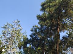 -贮水山儿童公园