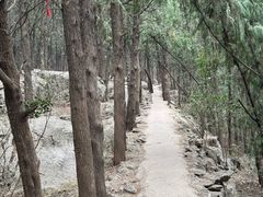 -云龙山