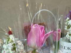-花仙女鲜花店