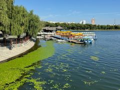 -长春市南湖公园