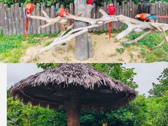 -上海野生动物园