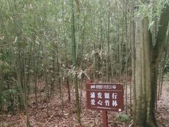 -都江堰中华大熊猫苑
