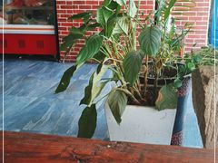 -冯记白土岗辣子鸡