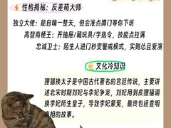 -小猫来了·猫咪专售(红山六九七九店)