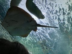 -上海海洋水族馆