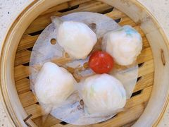 金牌虾饺皇-点都德(千灯湖环宇城店)
