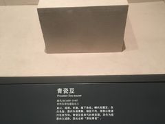 -嘉文梦想世界(SM天津滨海城市广场店)