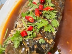 -东北田记家常菜