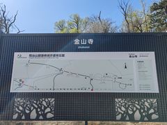 -阳台山自然风景区