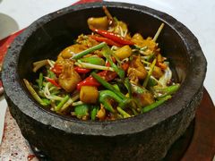 石锅鮰鱼肚-荟廷·晶萃(陆家嘴尚悦湾店)
