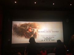 -万达影城(锦华万达广场IMAX店)