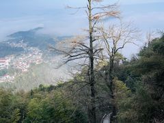 -九华山风景区