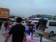 -中环花鸟鱼虫市场