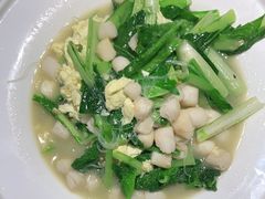 -前海沿·青岛菜(大拇指广场石老人店)