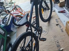 -道路口单车爱瓦士dahon大行