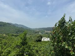 -樱桃山旅游景区