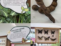 -武汉荟聚