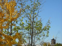 -凤城河风景区