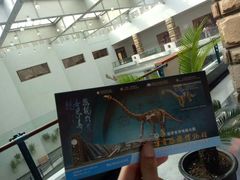 -自贡恐龙博物馆