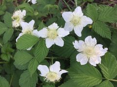 -南京金牛湖风景区