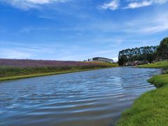 -迪茵湖田家舍生态农场