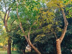 -共青国家森林公园-南大门停车场