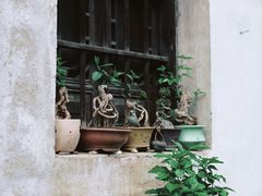 -绍兴书圣故里景区