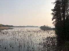 -东湖落雁景区