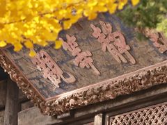 -阳台山自然风景区