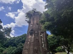 -青青世界