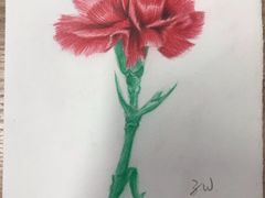 -八哥美术·成人美术画室(总校区)