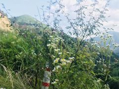 -飞天山旅游区