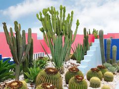 -漳州滨海火山岛自然生态风景区