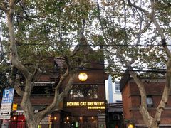 -Boxing Cat Brewery拳击猫精酿啤酒馆(永福店)