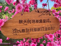 -北京凤凰岭