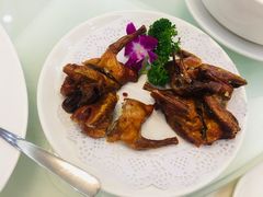 乳鸽-大友(港口店)