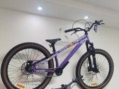 -道路口单车爱瓦士dahon大行